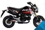 Honda_Grom_Curve_Red.jpg