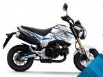 Honda_Grom_No_Fear_White_Blue.jpg