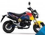 Honda_Grom_Redbull_Blue.jpg