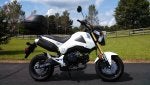 Land vehicle Vehicle Motorcycle Car Rim
