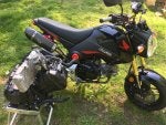 250r.jpg